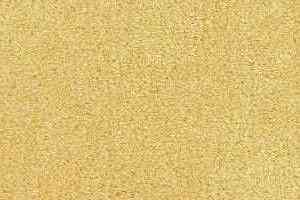 Ковролин Radici Admiral Primrose 2221 фото  | FLOORDEALER